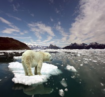 5 de junio – DÍA MUNDIAL DEL MEDIO AMBIENTE