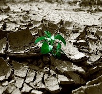 ¿Por qué la erradicación de la pobreza en el mundo no es un compromiso irrenunciable para los gobiernos?