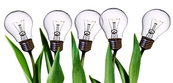 Sostenibilidad ambiental
