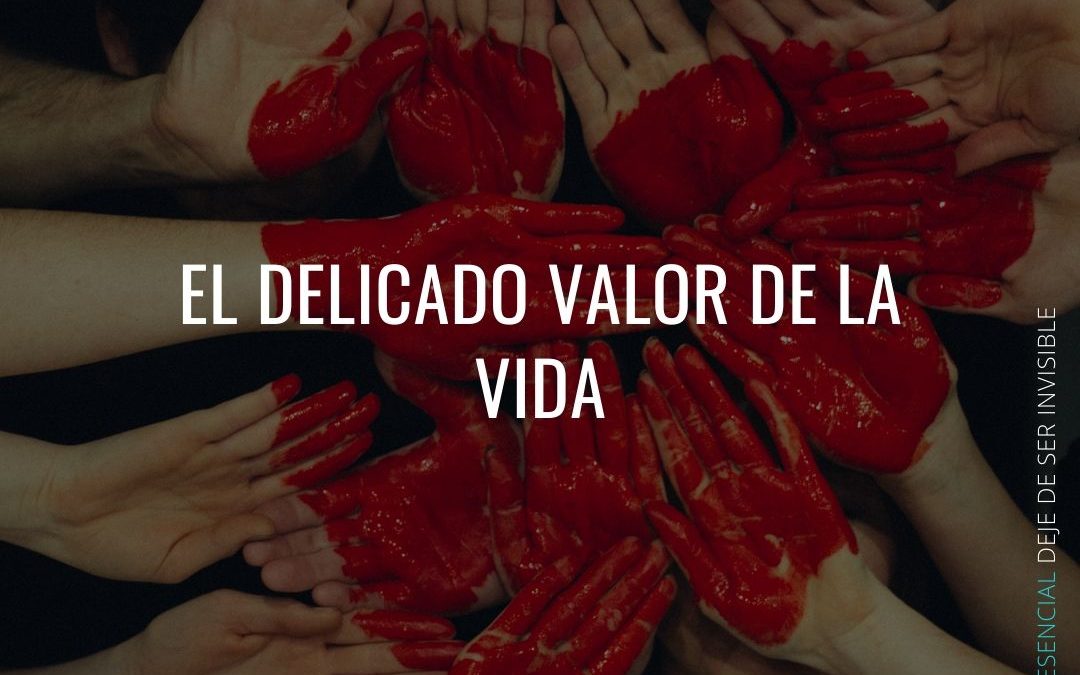 Gracias a la vida, que me ha dado tanto