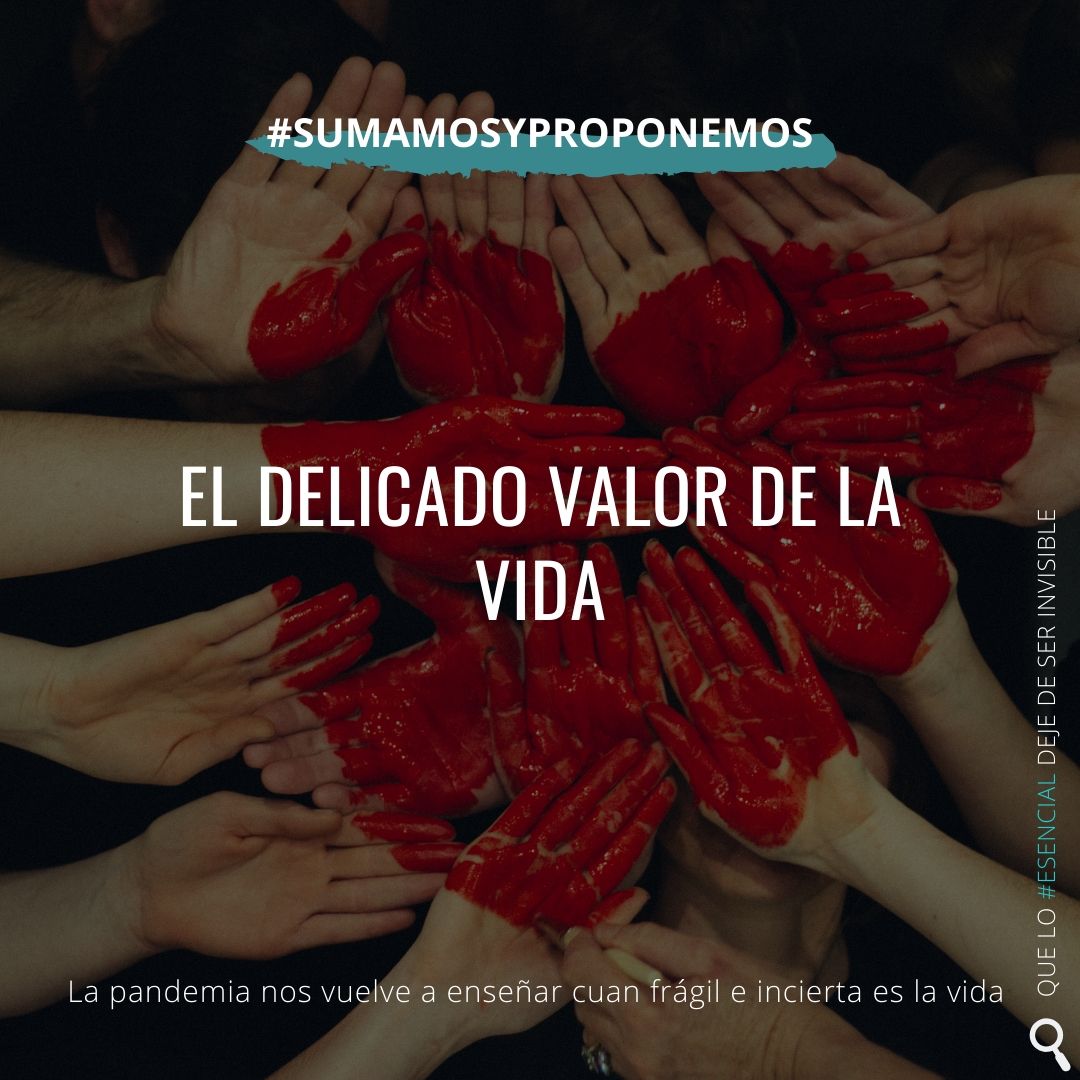 delicado valor de la vida