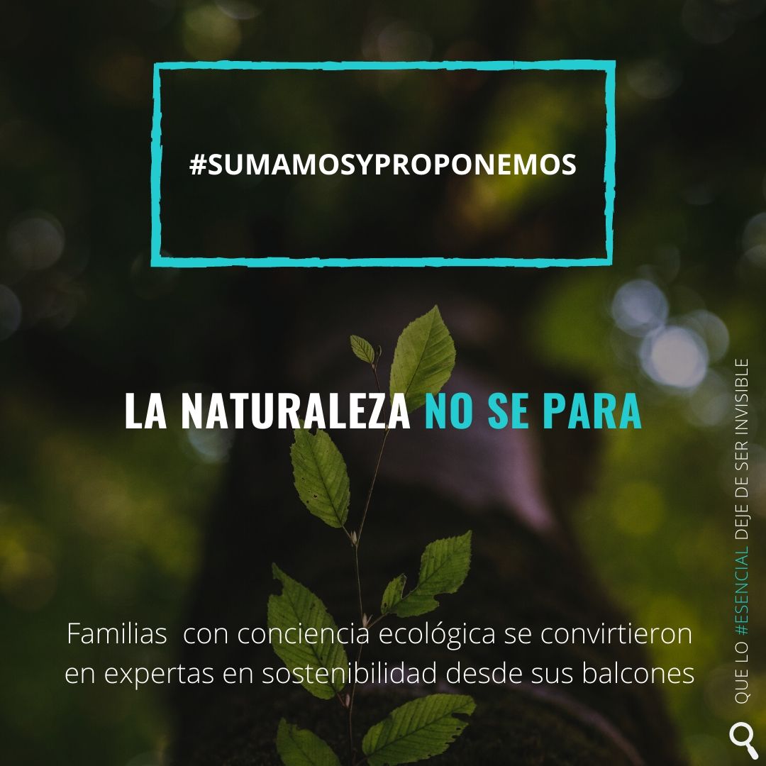 la naturaleza no se para